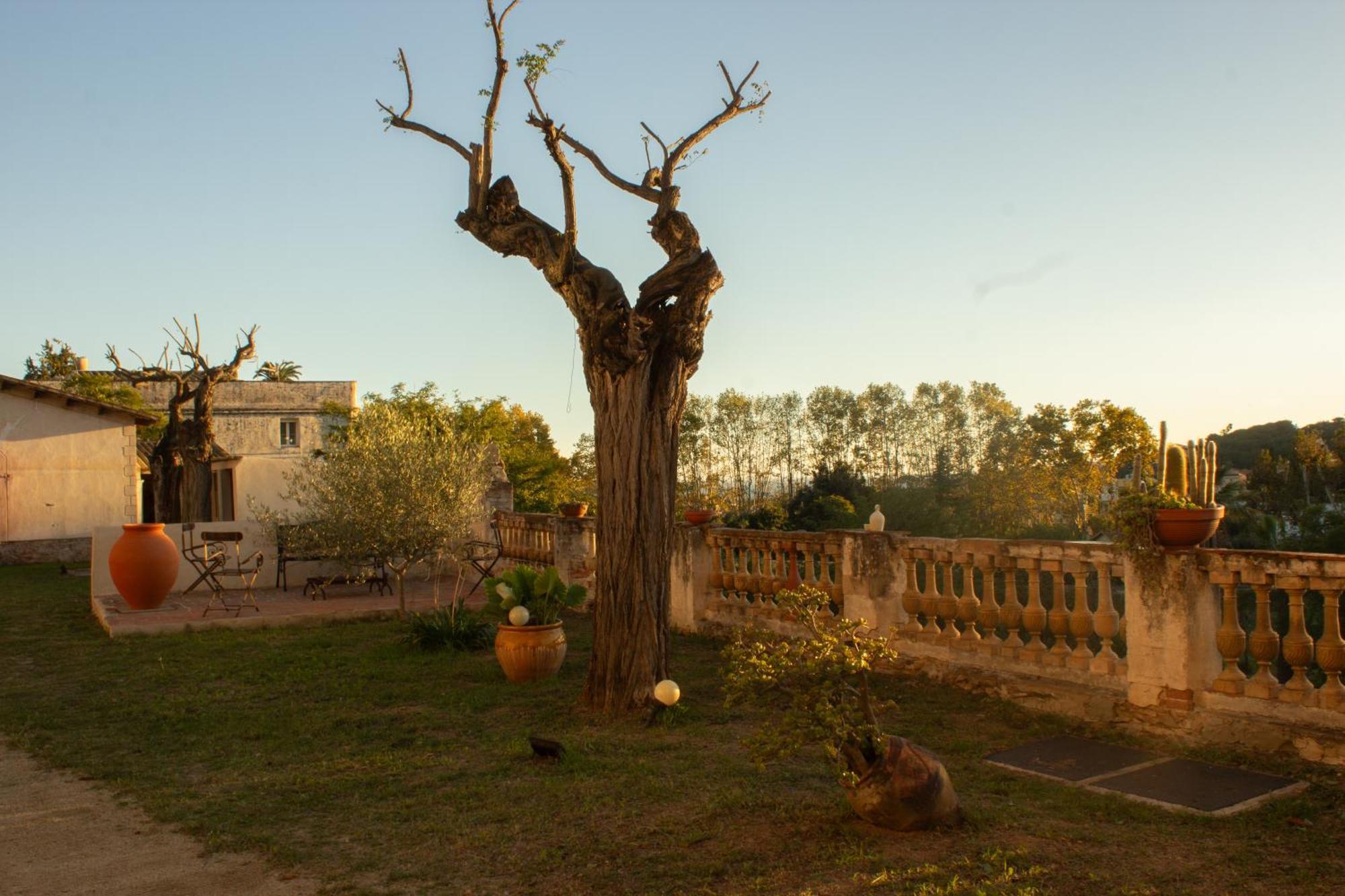 Can Rovira - Stunning Neoclassical Mansion, Just 20 Min Drive From Barcelona City Center, Ideal For Groups And Families Alella Buitenkant foto